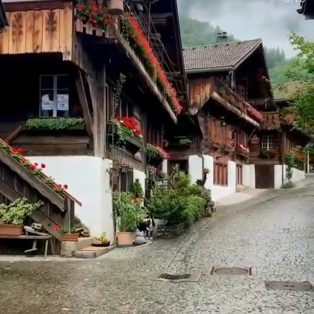 اگر سنگم زنی سنگت ببوسم جومه نارنجی